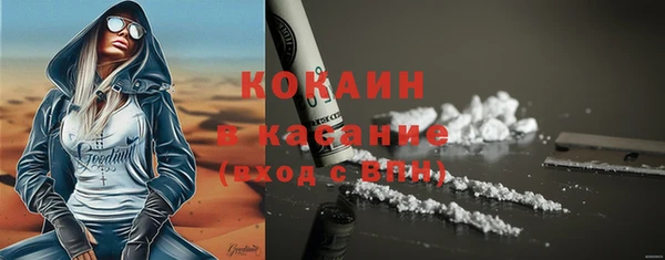 спайс Каменка