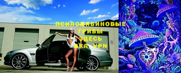 спайс Каменка