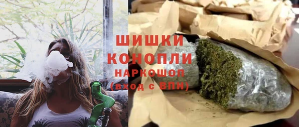 спайс Каменка