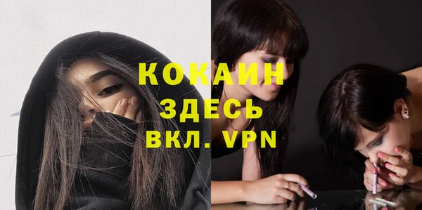 спайс Каменка