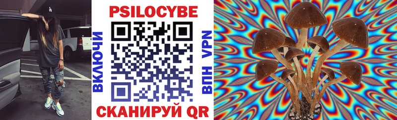 Галлюциногенные грибы Psilocybe  Купить закладки  Дятьково 