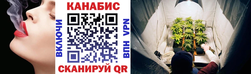 Конопля сатива Дятьково