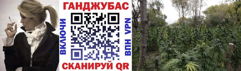 Купить закладки  Дятьково  Каннабис Bruce Banner 